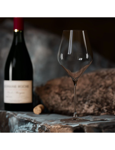 Multifunctioneel wijnglas met een prachtige moderne look.